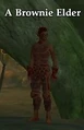A Brownie Elder.jpg