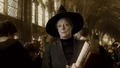 Teacherandhogwartsmcgon18.jpg