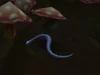 Serpentbloom Snake