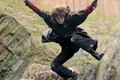 Harry Jumping.jpg