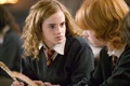 Hermione and Ron.jpg
