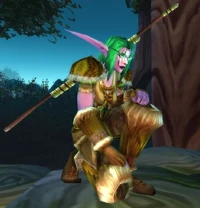 Image of Darnassian Druid