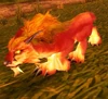 Springpaw Lynx