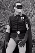 Robin 2