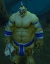 Splinter Fist Ogre