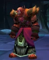 Shadowmoon Summoner