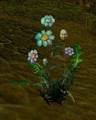 Blindweed.jpg