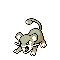 Rattata cristal variocolor