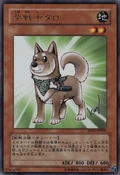 ShibaWarriorTaro-YAP1-JP-UR