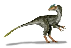 Guanlong BW.jpg