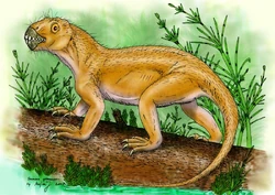 Suminia.jpg