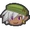 Leaf Head