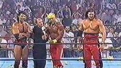 NWo birth