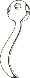 Namacalathus