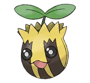 Sunkern