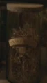 Snakeweed.jpg