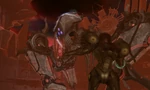 Quadraxis Collapses