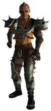 Raider Throwdown Armor