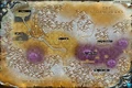 Crystalsong forest-SZ
