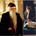 Dumbledore 1.png