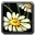 Inv misc flower 02