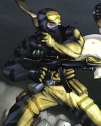 Firefly4.jpg