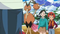 EP597 Dodrio de Inverna
