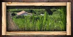 Business sugar 150x75 01.jpg