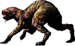 Double Head