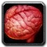 Inv misc organ 03.png