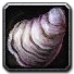 Inv misc shell 01.png
