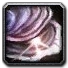 Inv misc shell 03.png