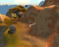Hidden Hut.jpg
