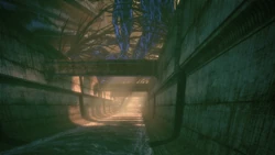 Ilos trench run 2