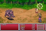 FFV Protect