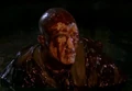 Bedell-terminator-error.jpg