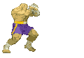 SagatSpecial.gif