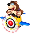 Banjo plane