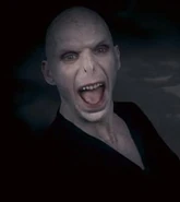 Voldemort vision