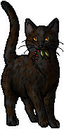 Die WindClan-Chroniken Hawkheart.mc