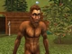 Bigfoot1