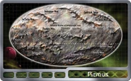 Remus2