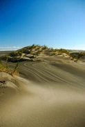 Wind stripes on Whatipu beach