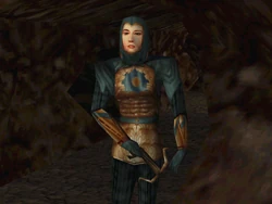 Mechanistcrossbowguard