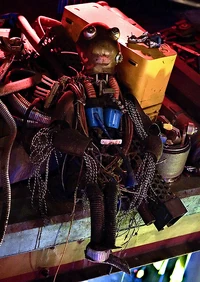 Kermit The Frog Star Tours.jpg