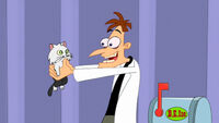 Doofenshmirtz cumple Mr.Fluffypants / Mr.Cat