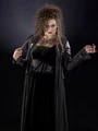 PromoHP6 Bellatrix Lestrange.jpg