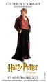 PosterHP2fr Gilderoy Lockhart.jpg