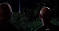 Swanlight
