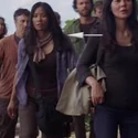 Bgothers-12-5x16
